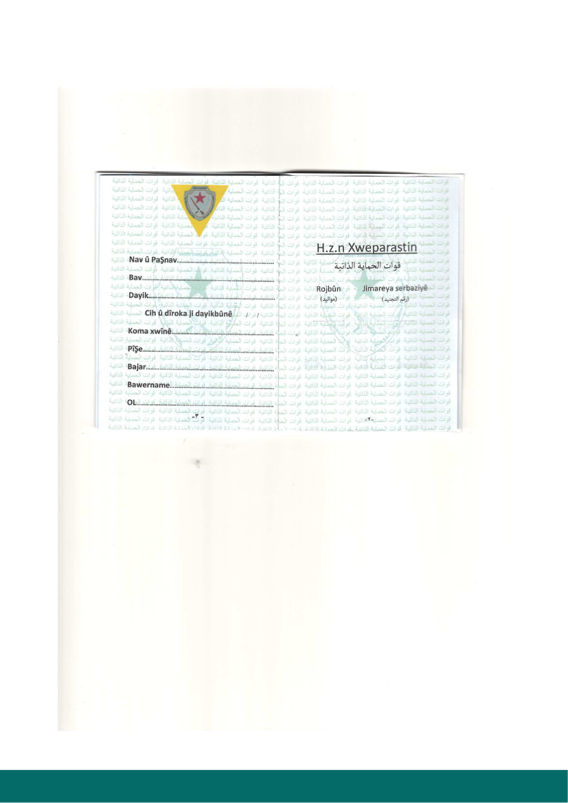 2603233_0077.png