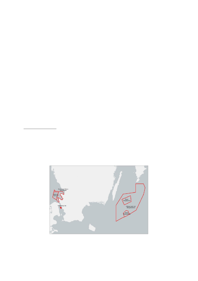 2603941_0004.png