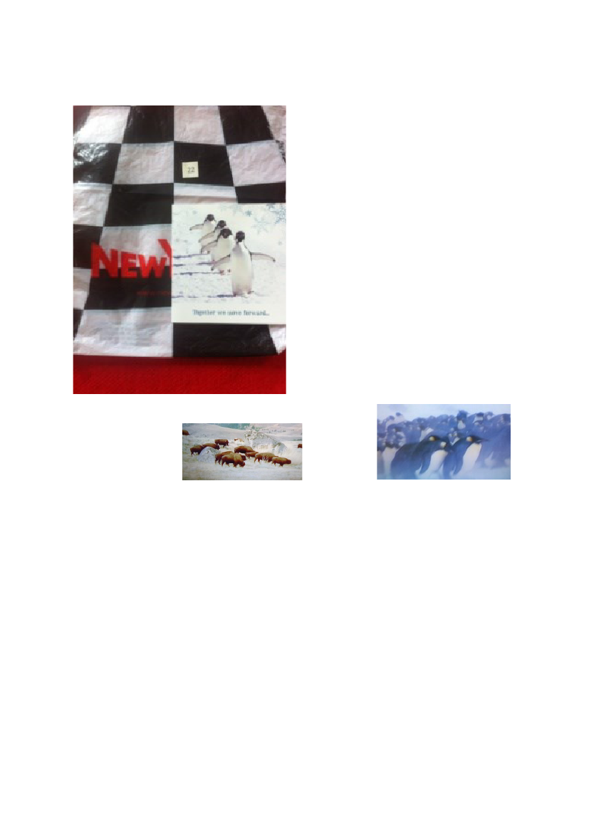 2608027_0013.png