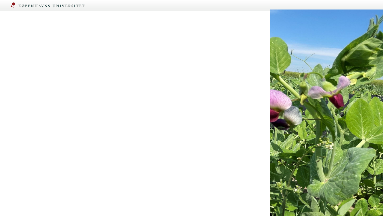 2651913_0020.png