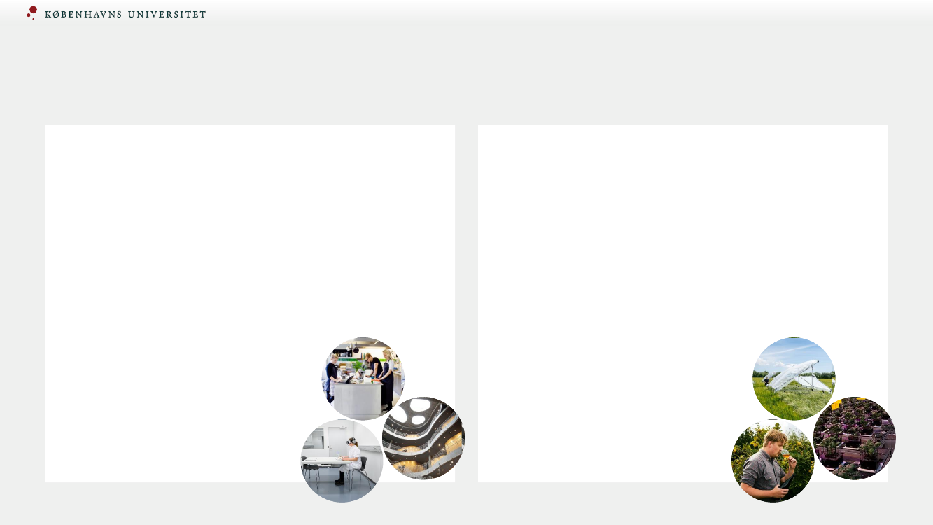 2651913_0025.png