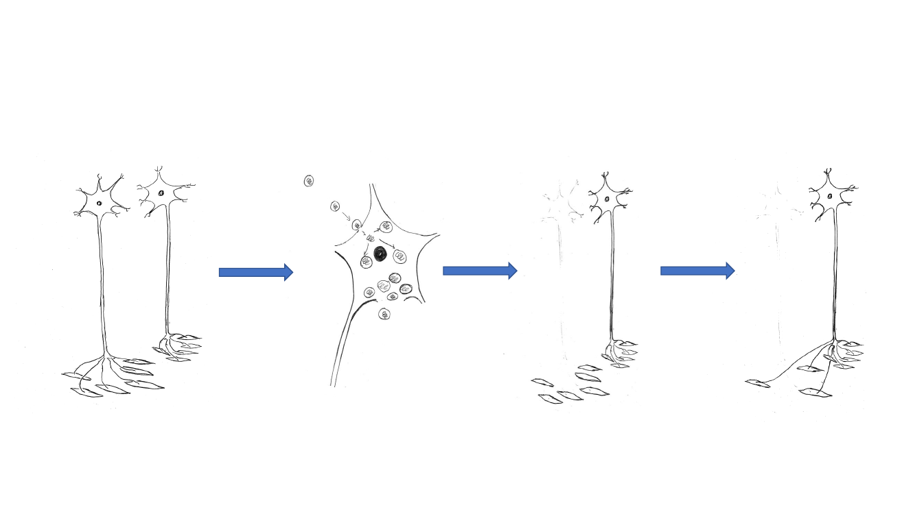 2655813_0004.png