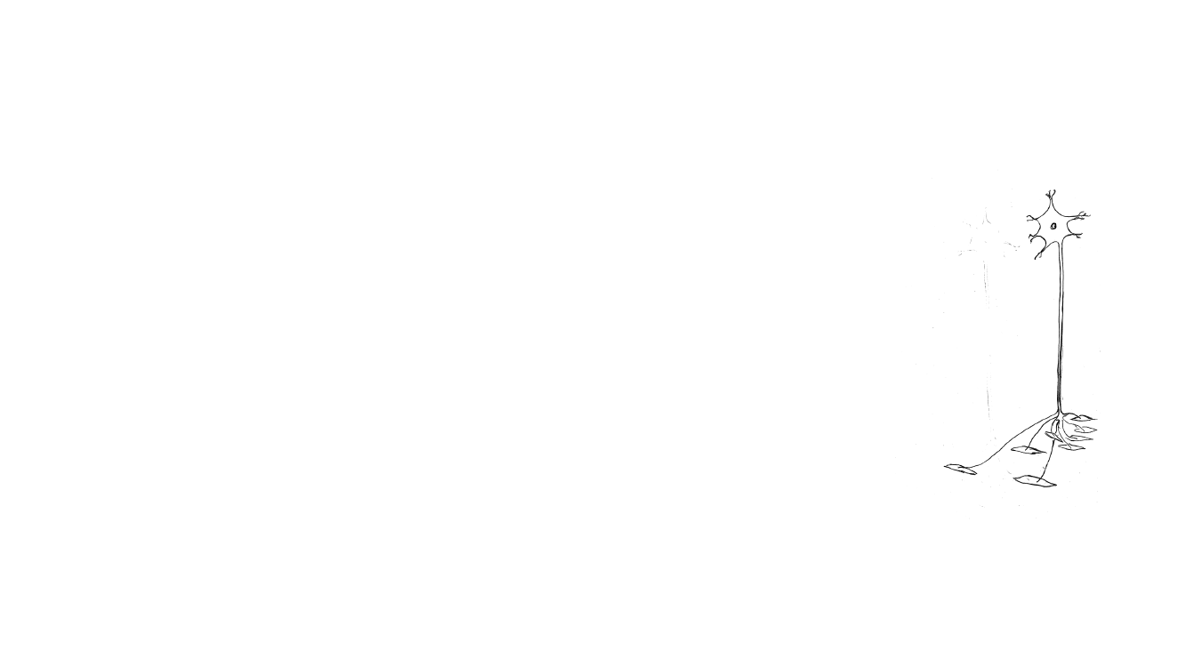 2655813_0006.png