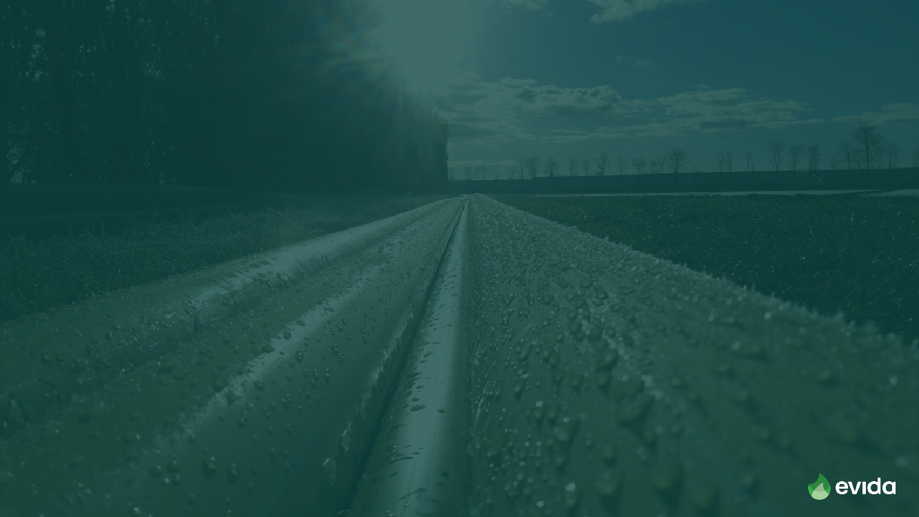 2655821_0009.png