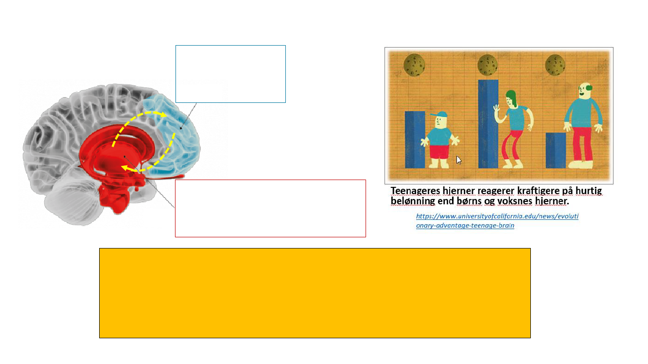 2657252_0003.png