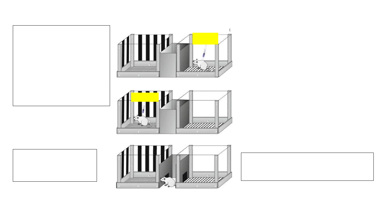 2657252_0005.png