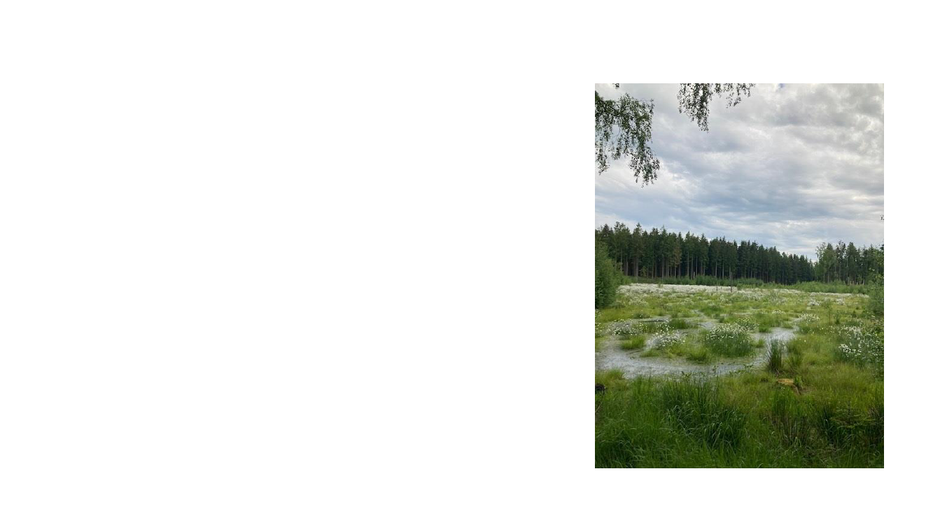 2670557_0001.png