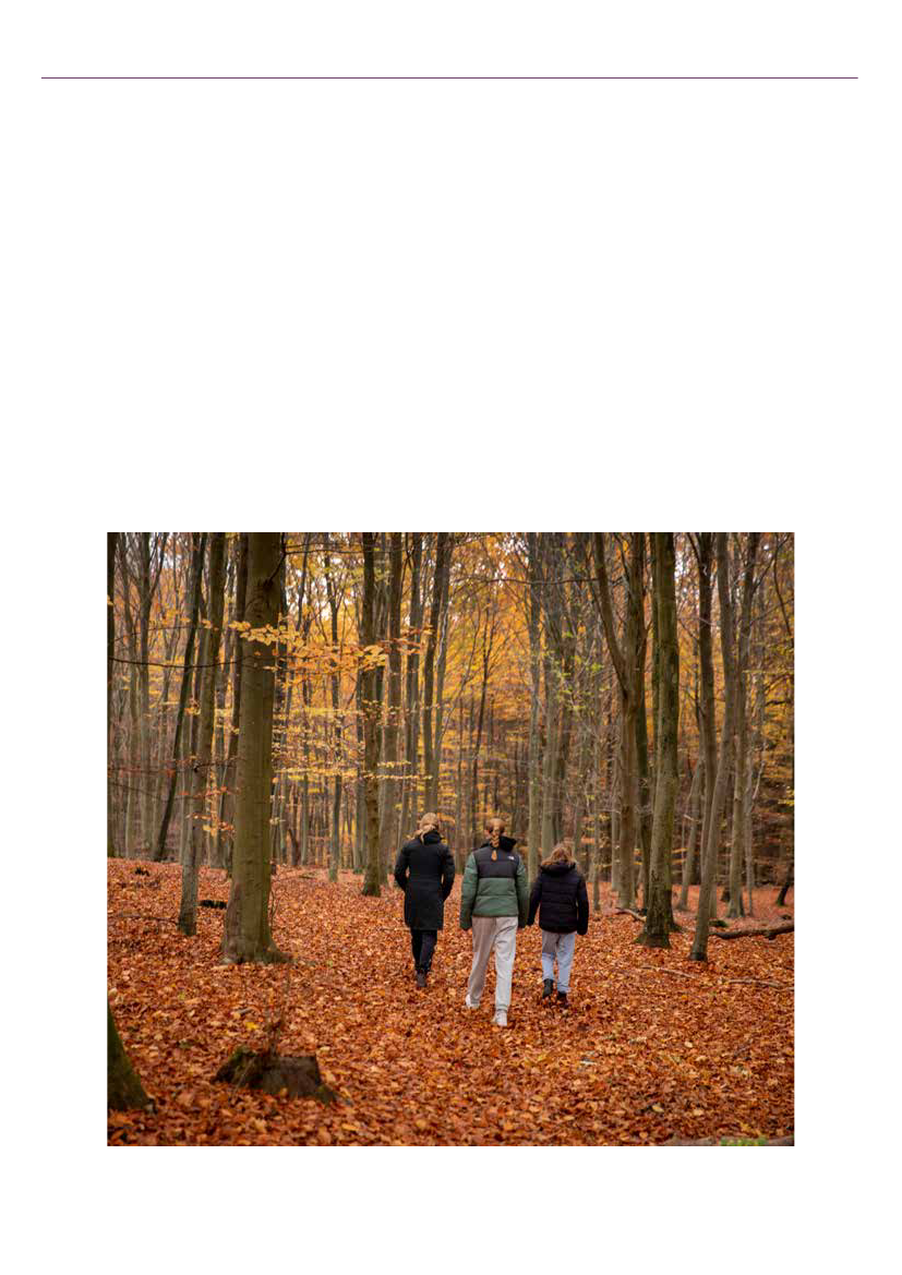 2689905_0020.png