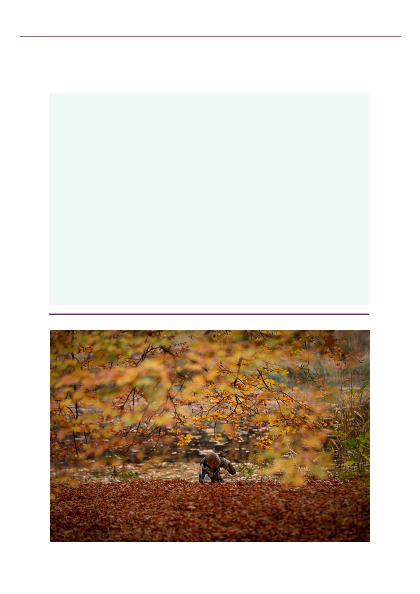 2689905_0119.png