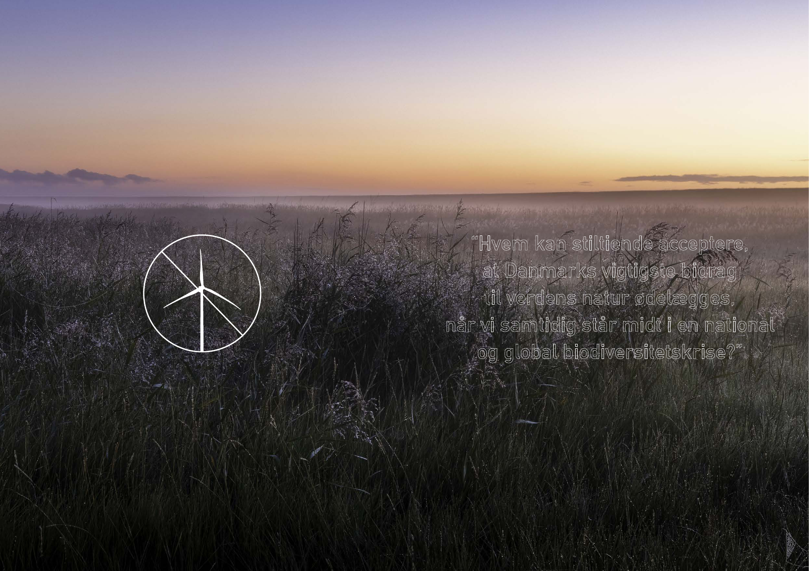 2689954_0004.png