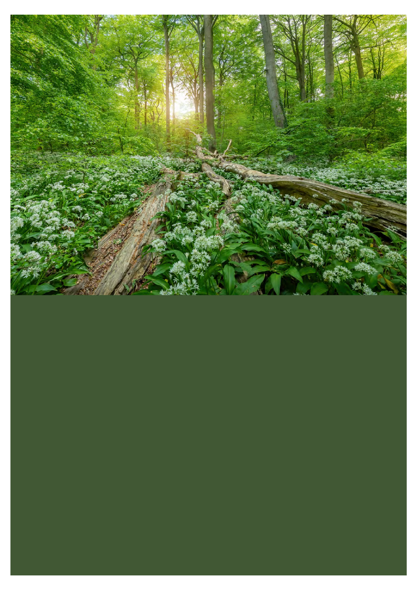 2718803_0001.png