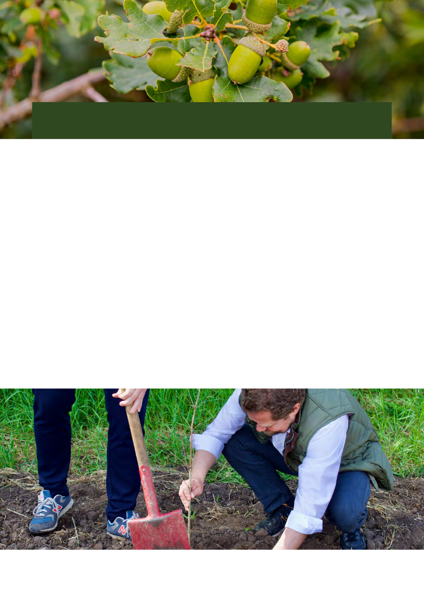 2718803_0013.png
