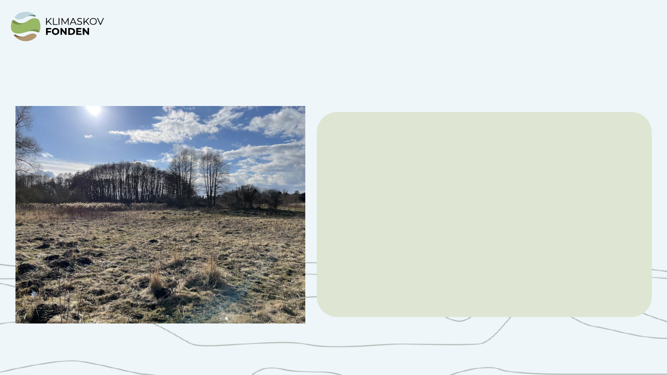 2721769_0007.png