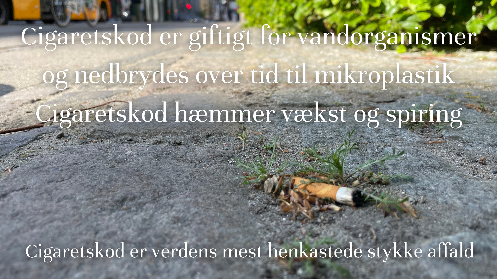 2770987_0005.png