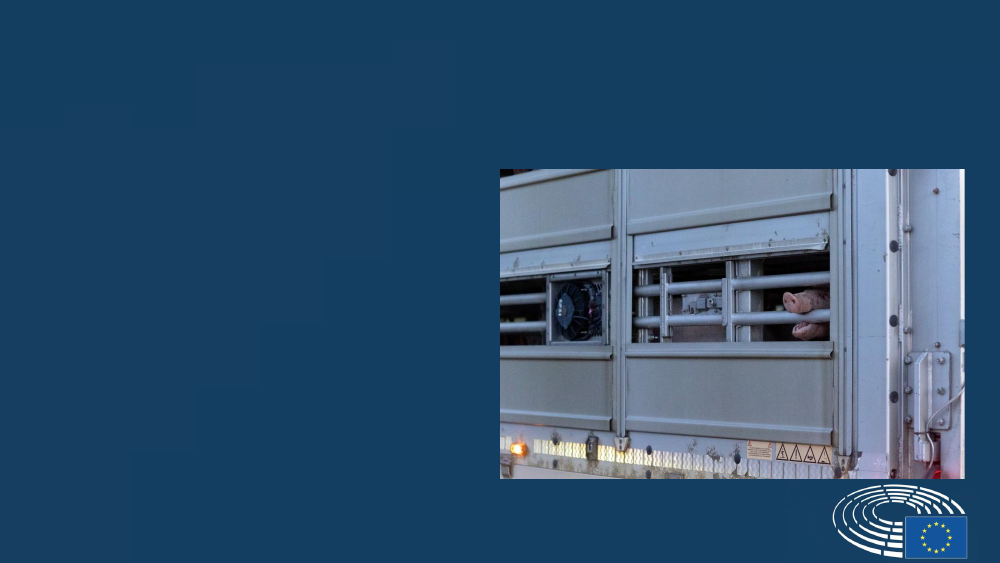 2771000_0009.png