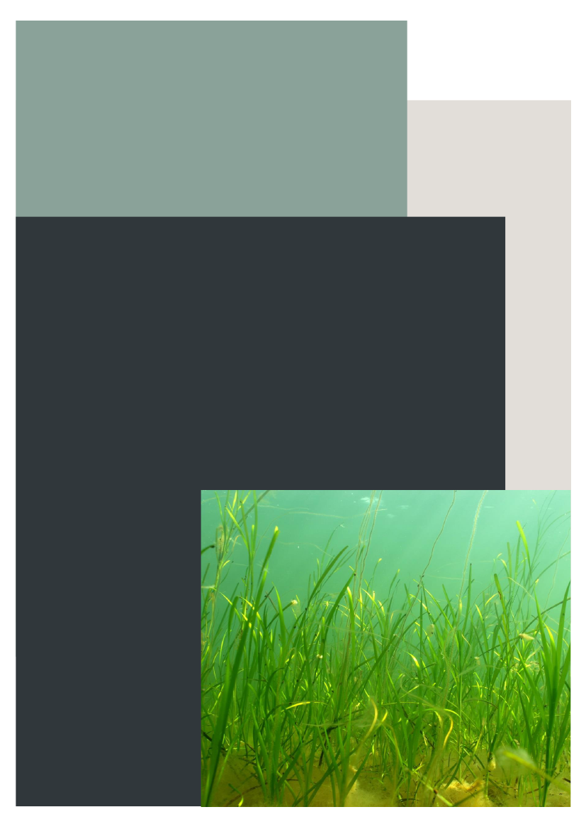 2772015_0001.png