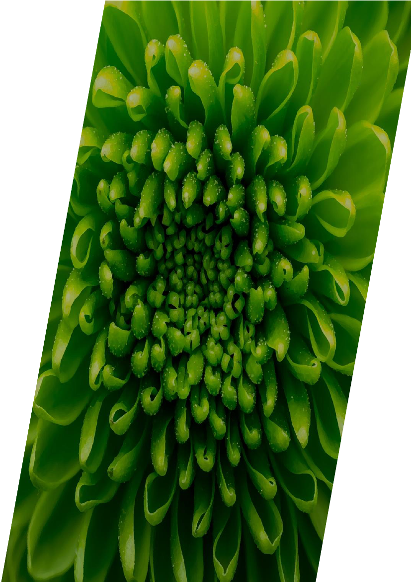 2779815_0002.png