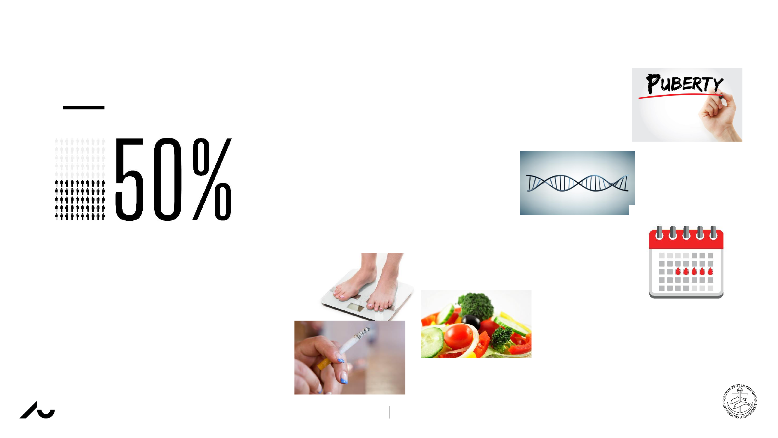 2781638_0013.png
