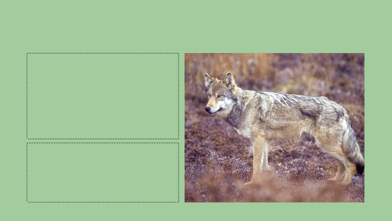 2782723_0003.png