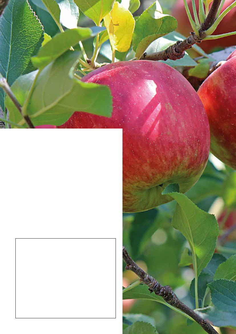 2782995_0005.png
