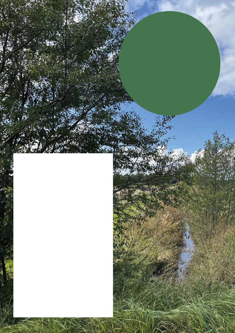 2782995_0016.png