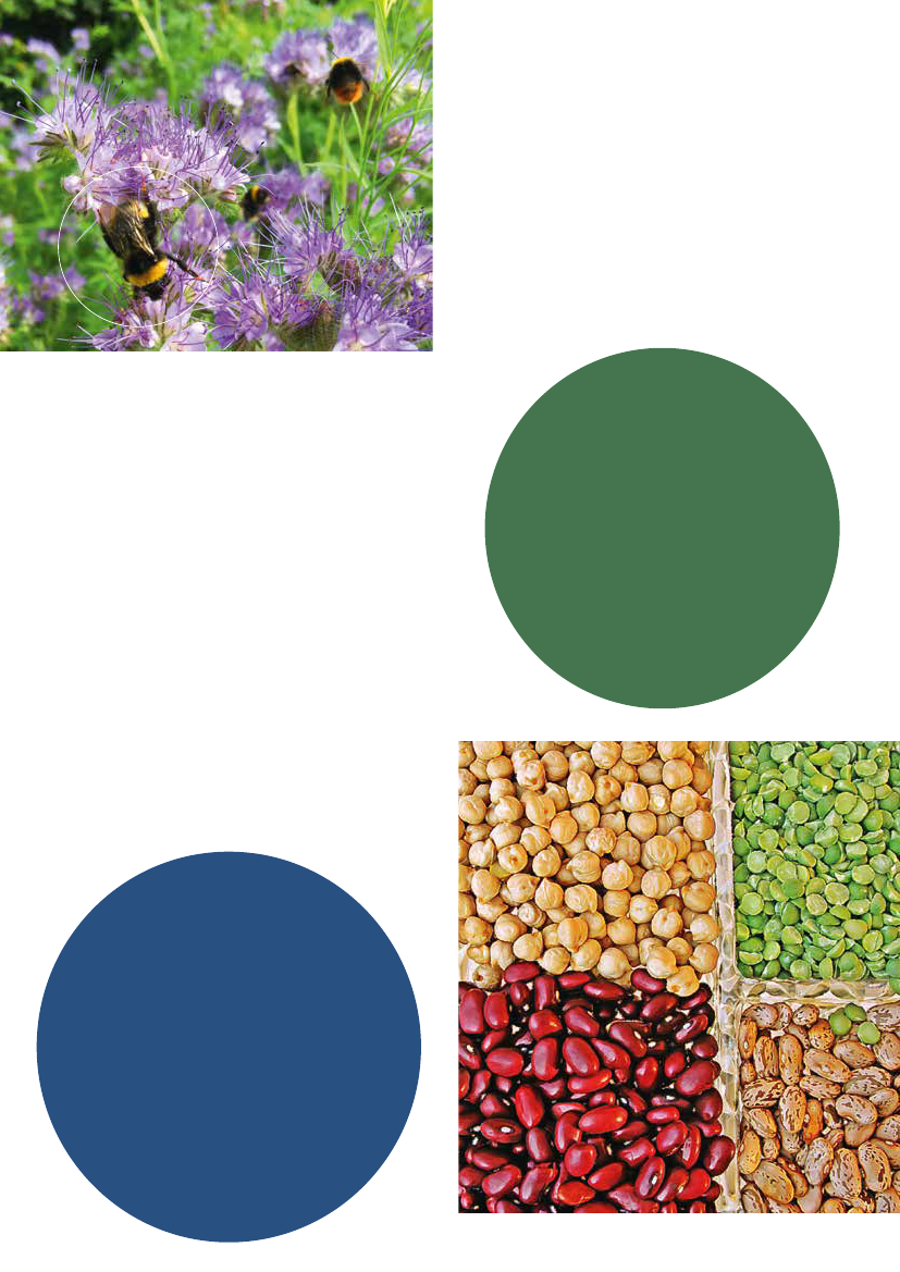 2782995_0020.png