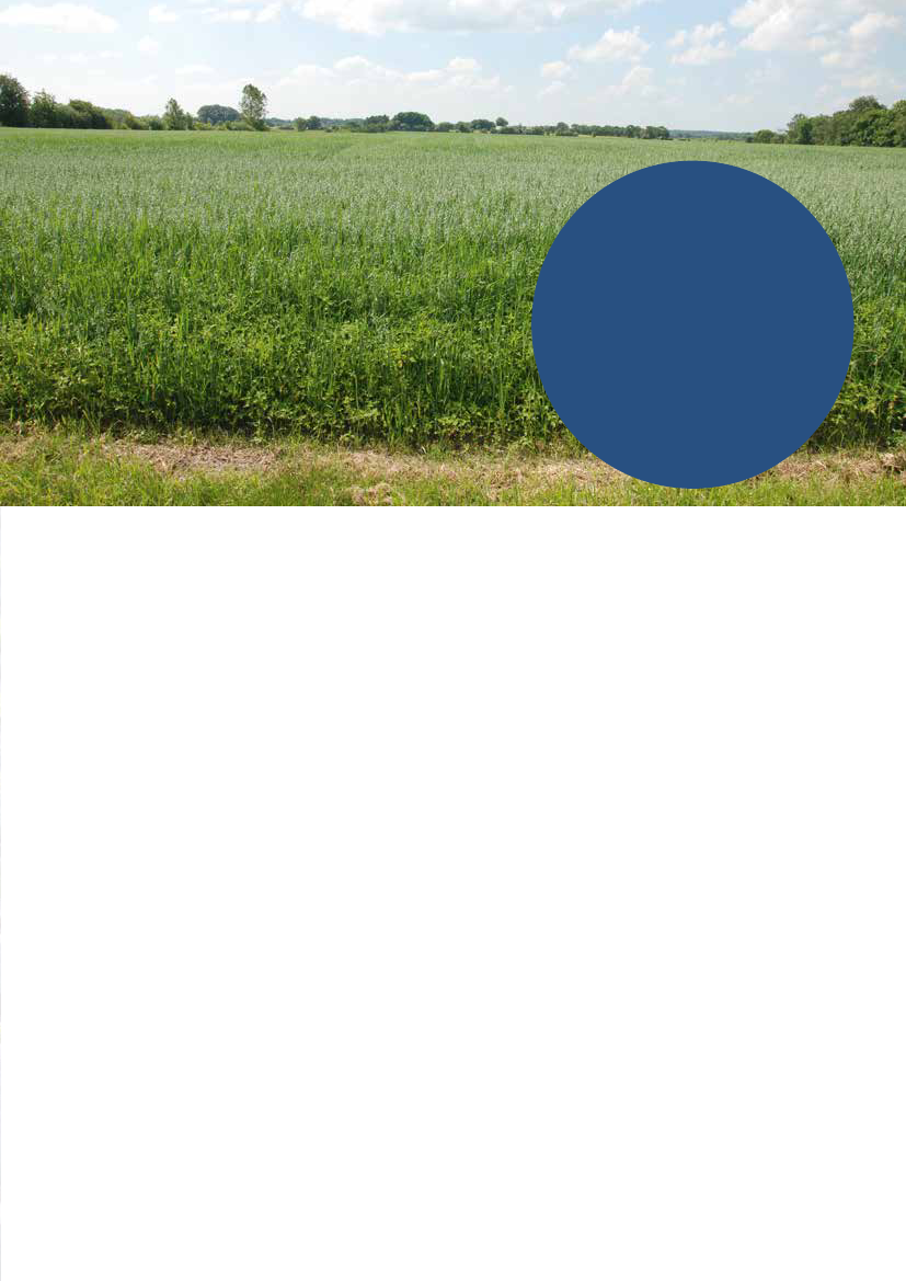 2782995_0025.png