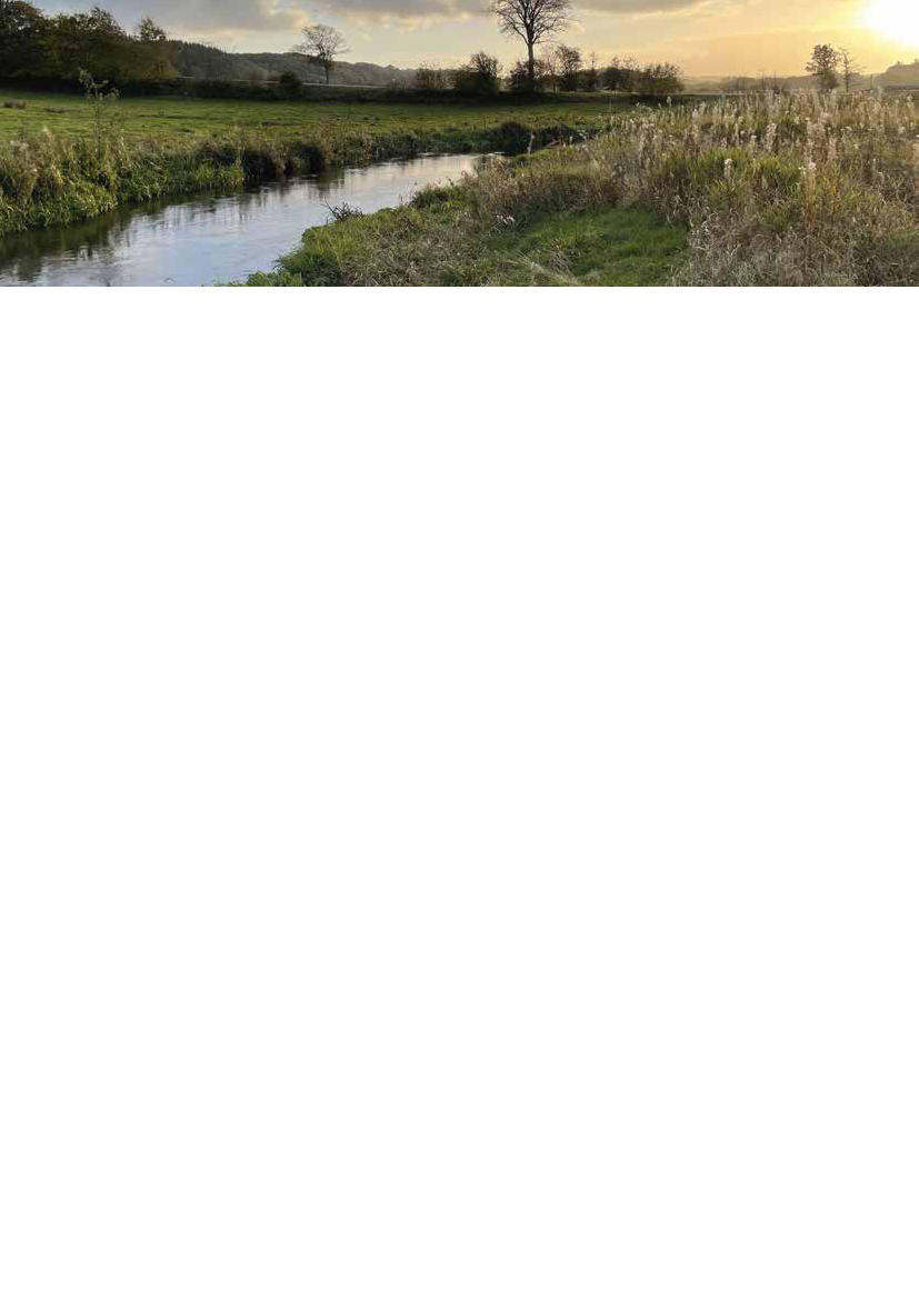 2782995_0030.png