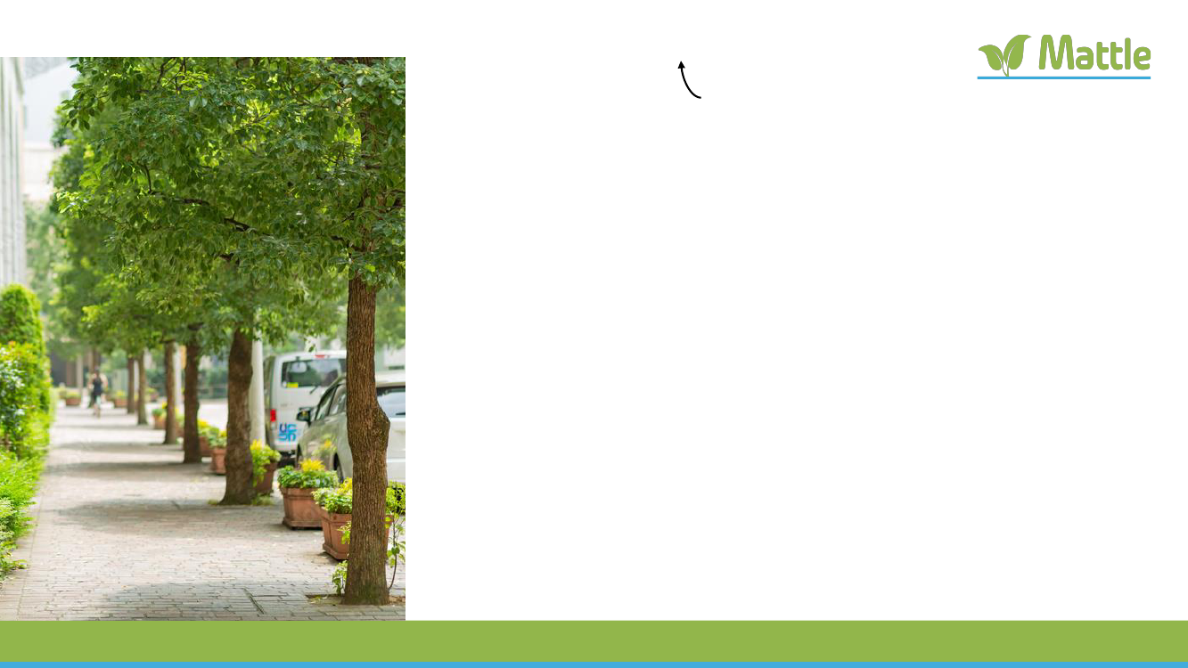 2790585_0002.png