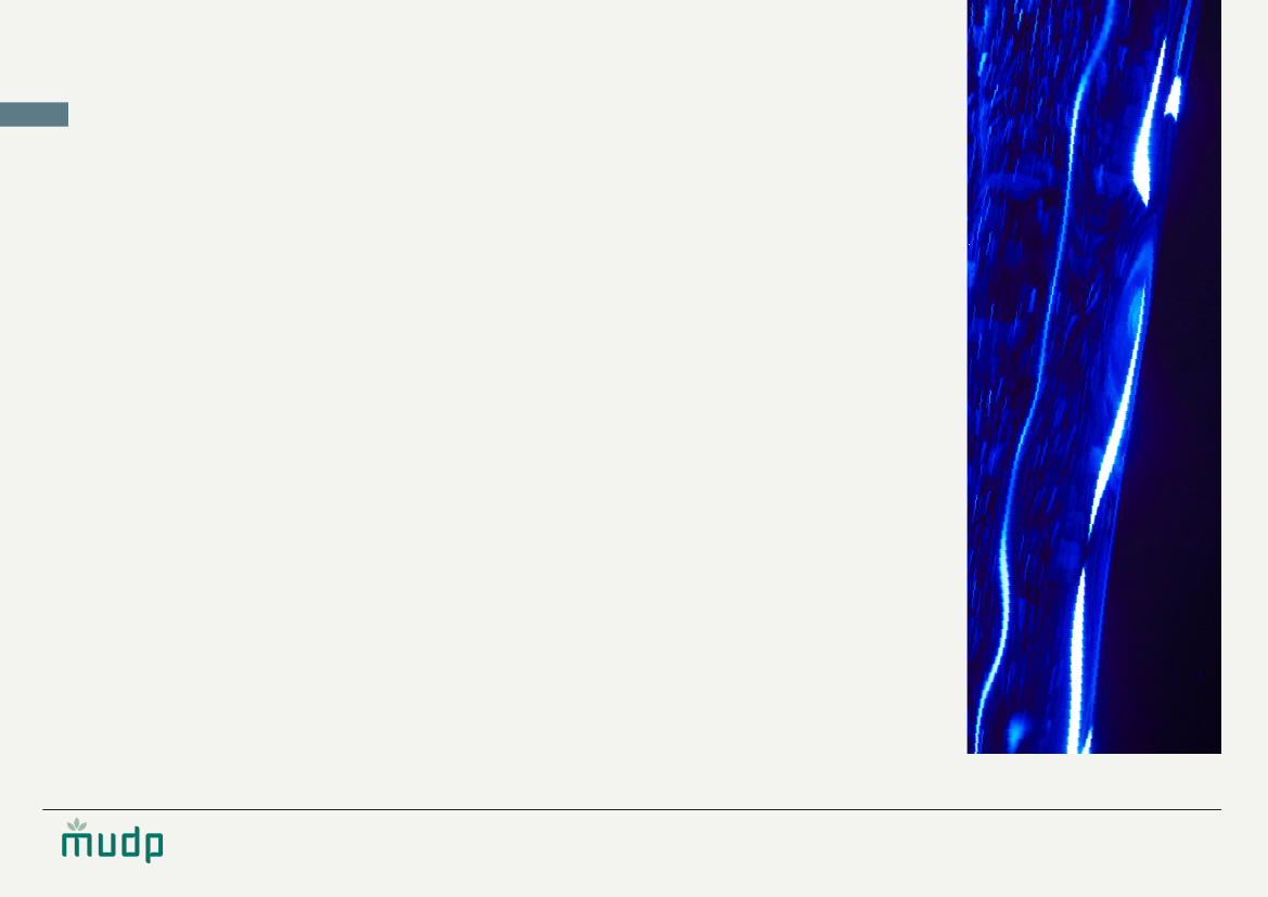 2811100_0010.png