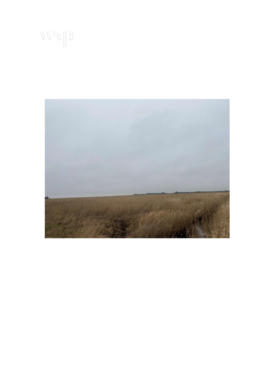 2815444_0002.png