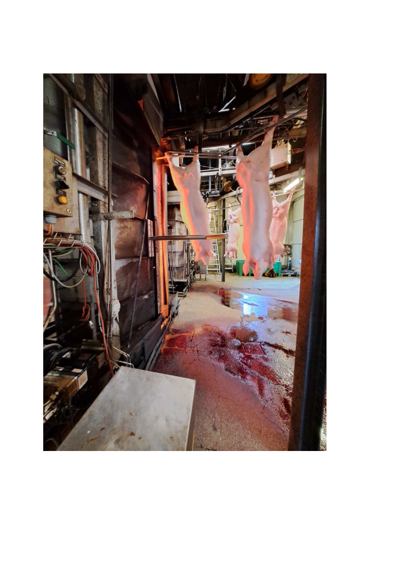 2815617_0043.png