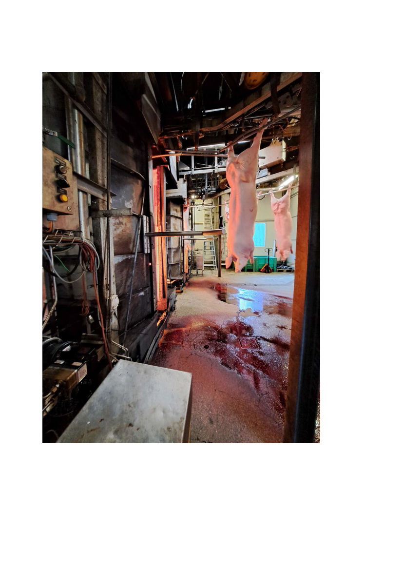 2815617_0054.png
