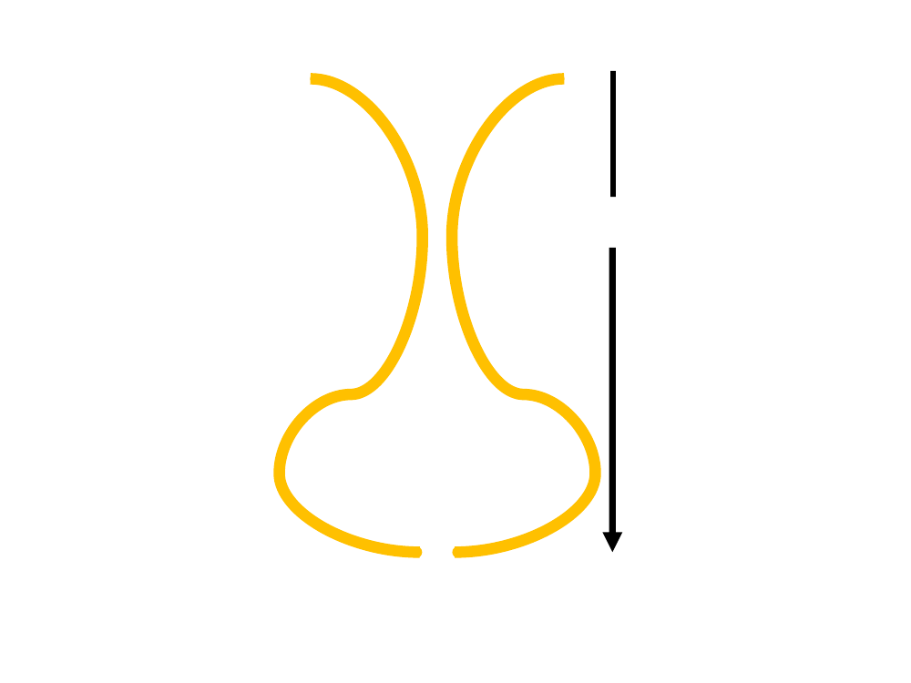 2827470_0013.png