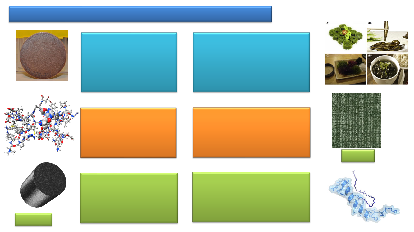 2829874_0015.png