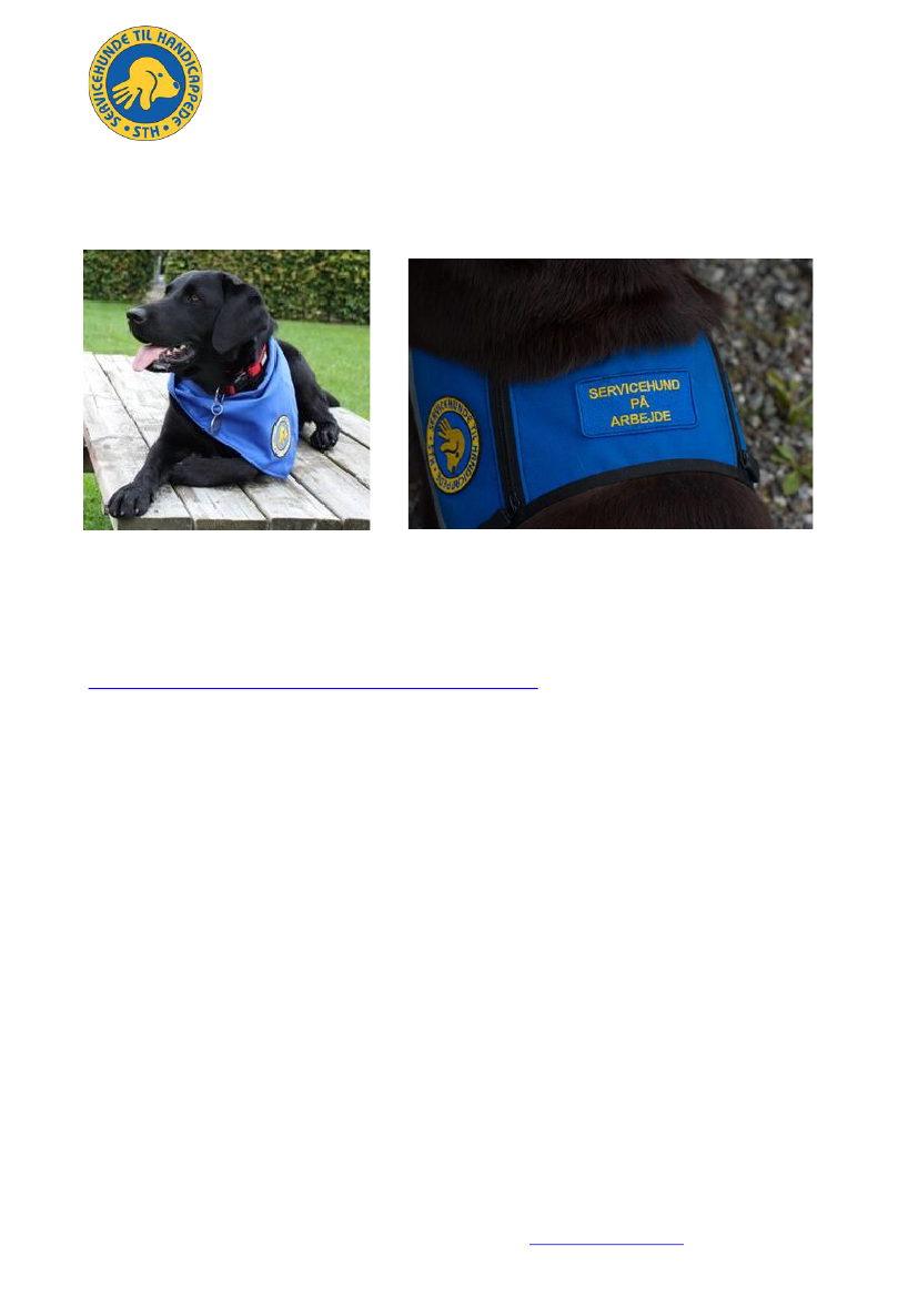 2835066_0002.png