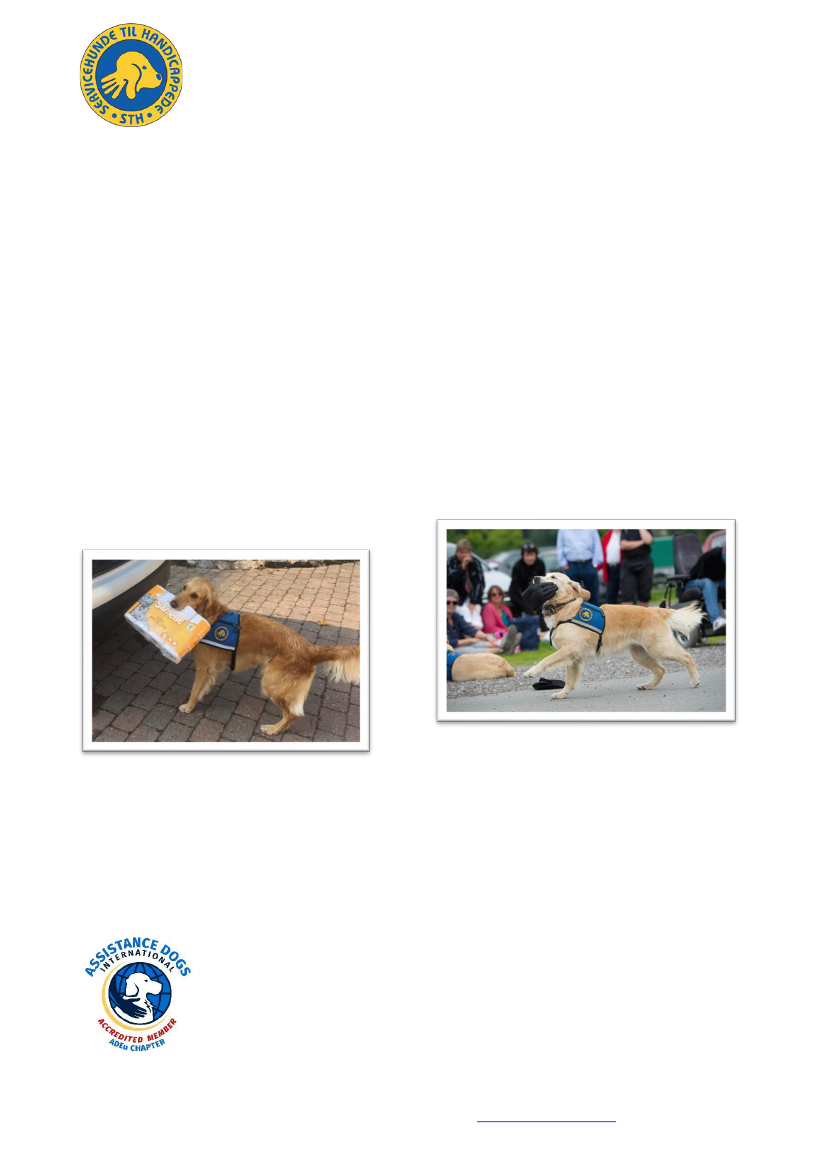 2835066_0003.png
