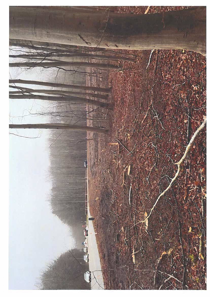2853721_0002.png