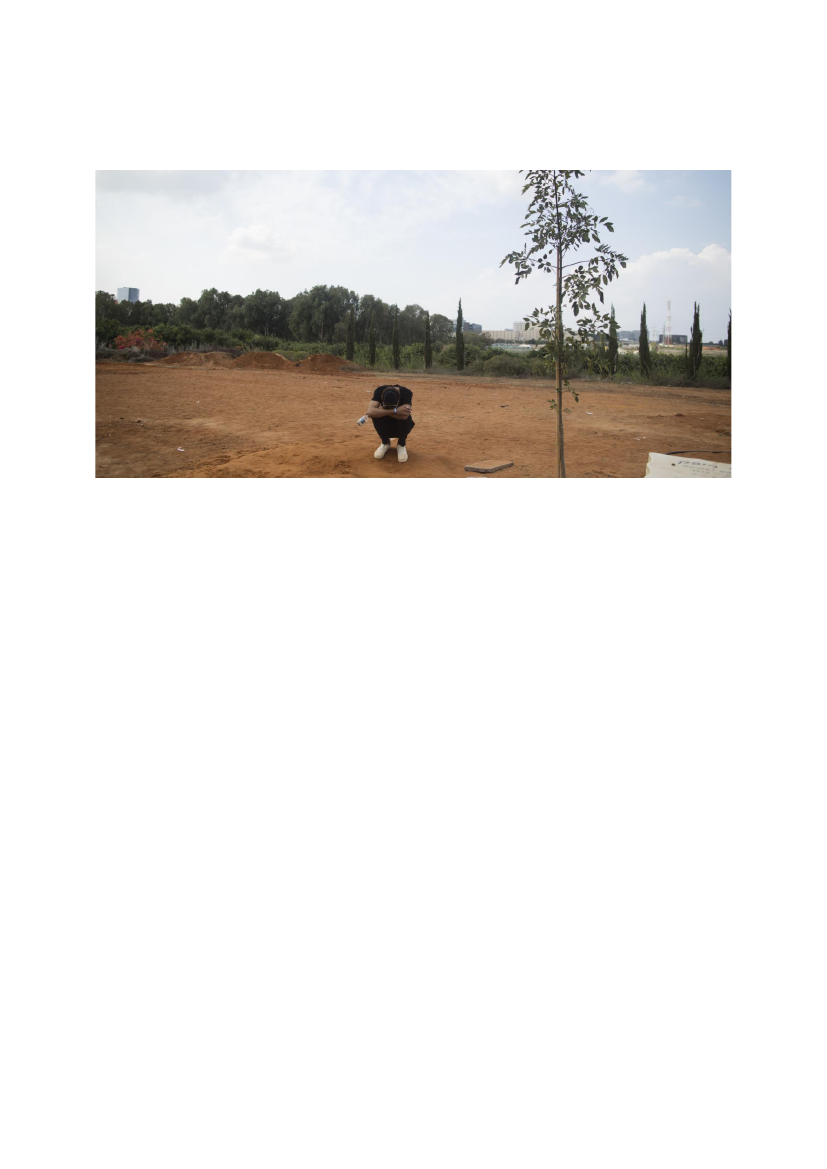 2855790_0001.png