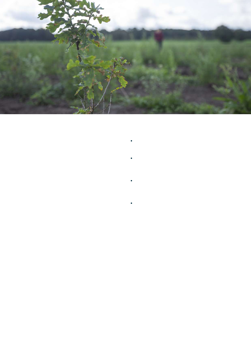 2862031_0004.png