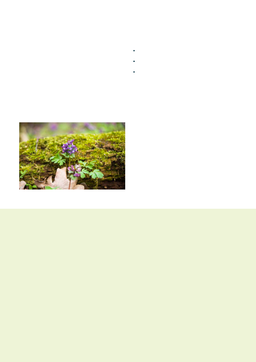 2862031_0010.png