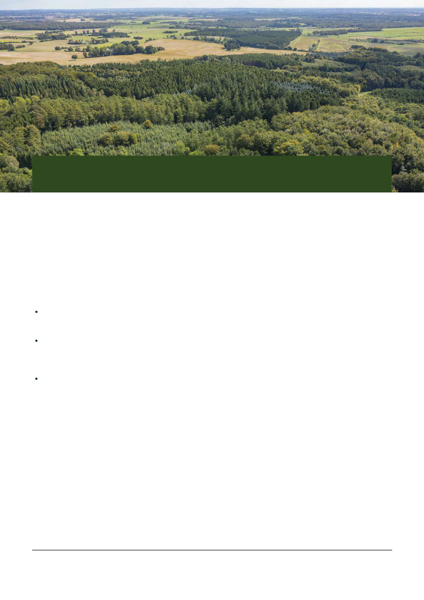 2862031_0016.png
