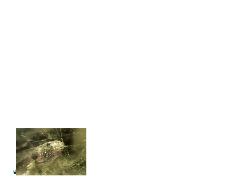 2872297_0005.png