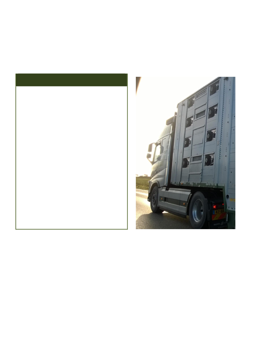 2872592_0012.png