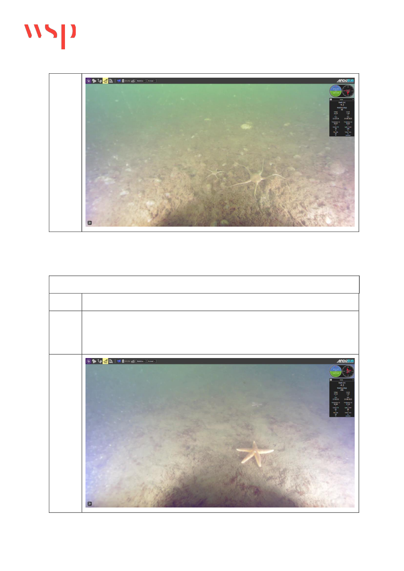 2892143_0081.png