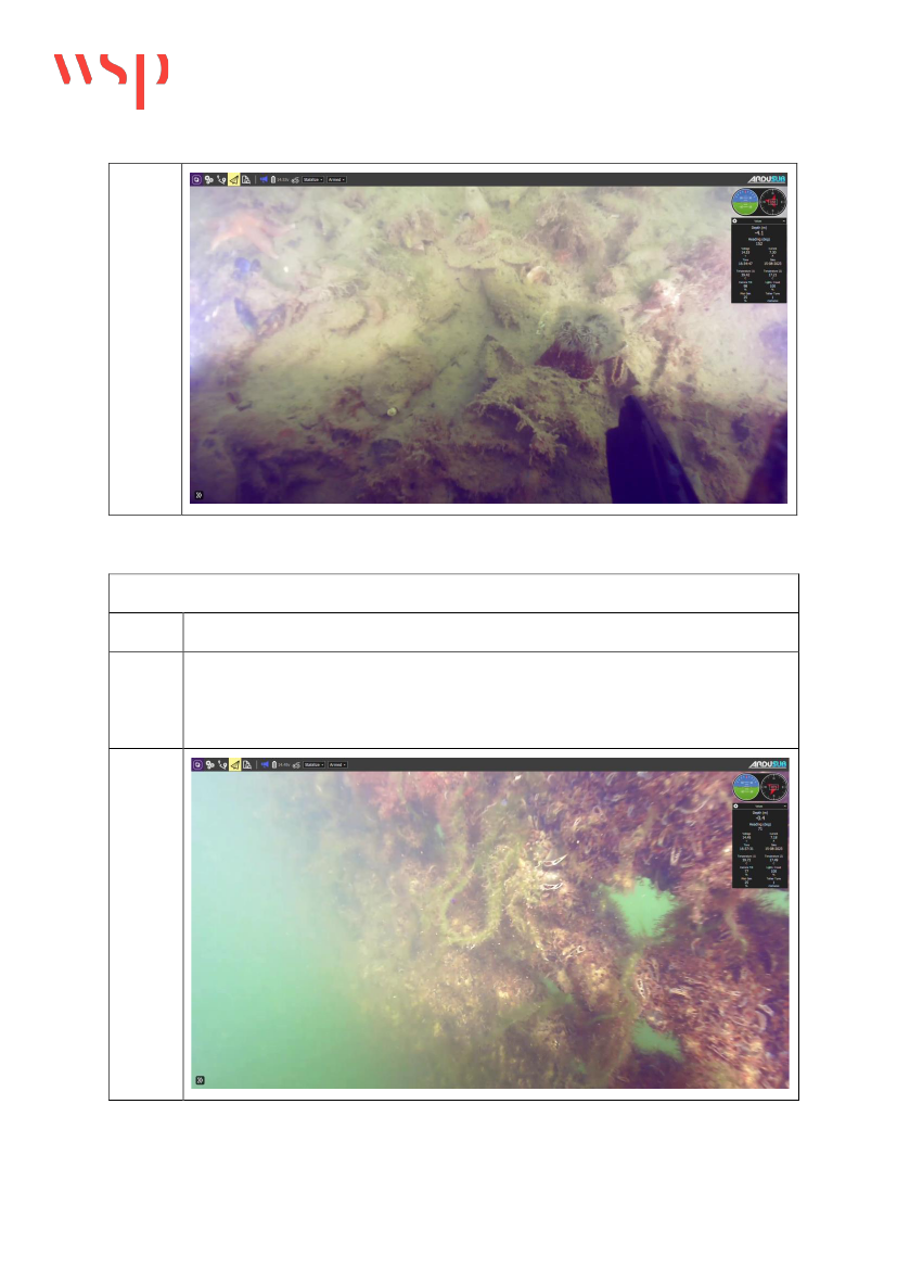 2892143_0083.png