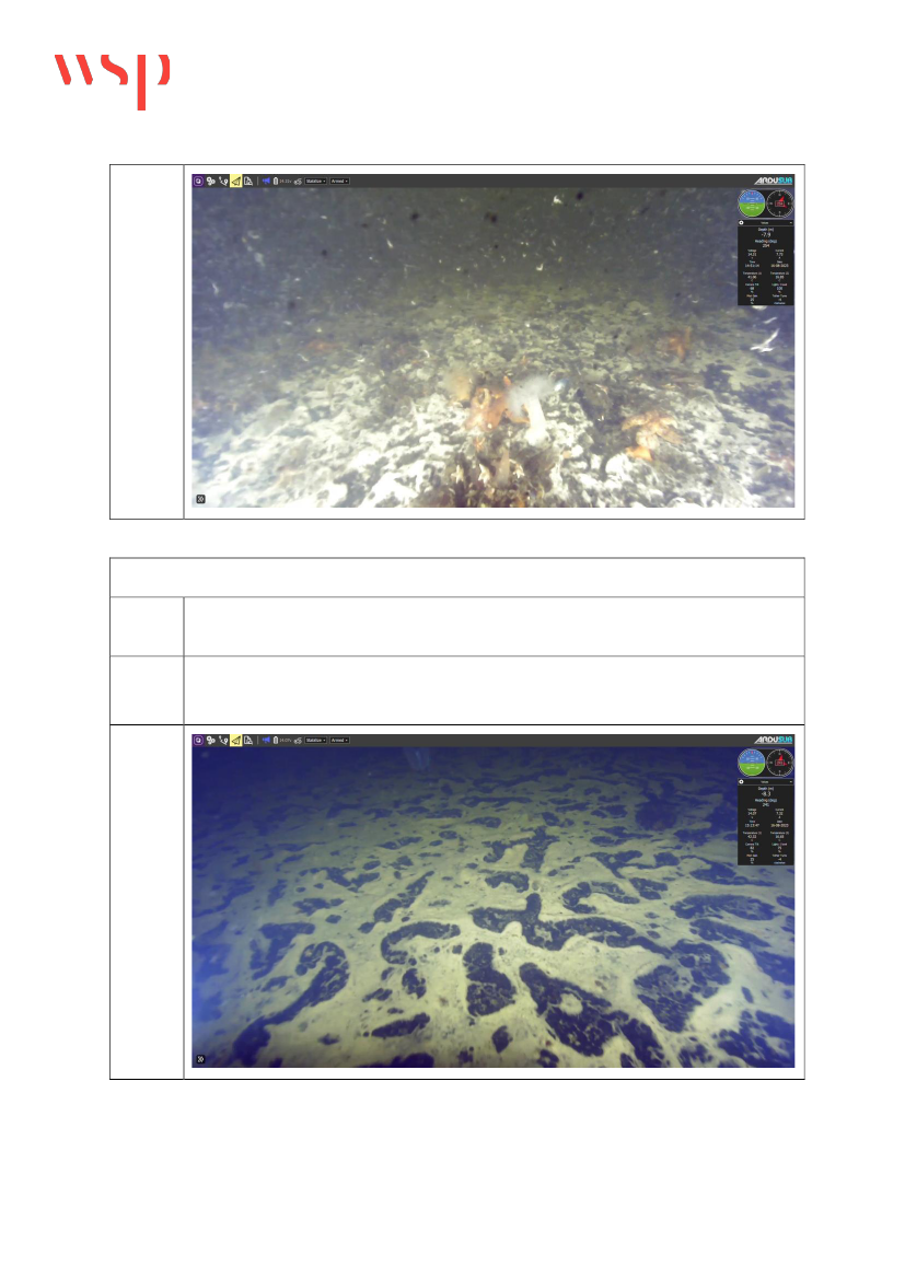 2892143_0087.png