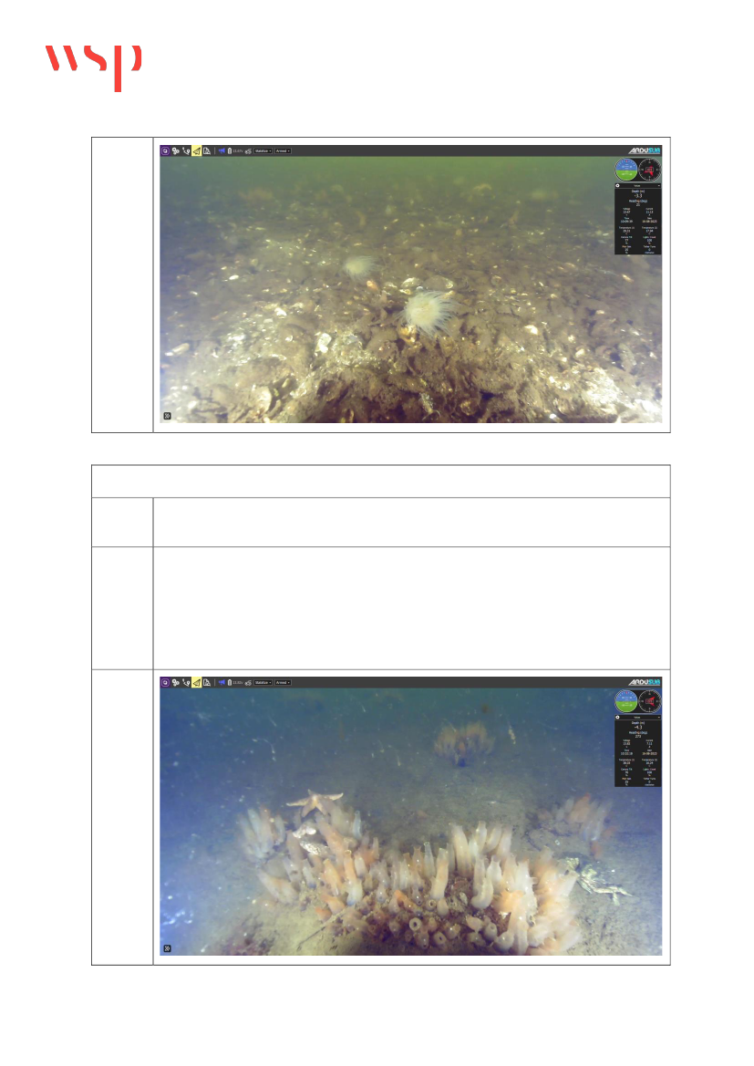 2892143_0095.png