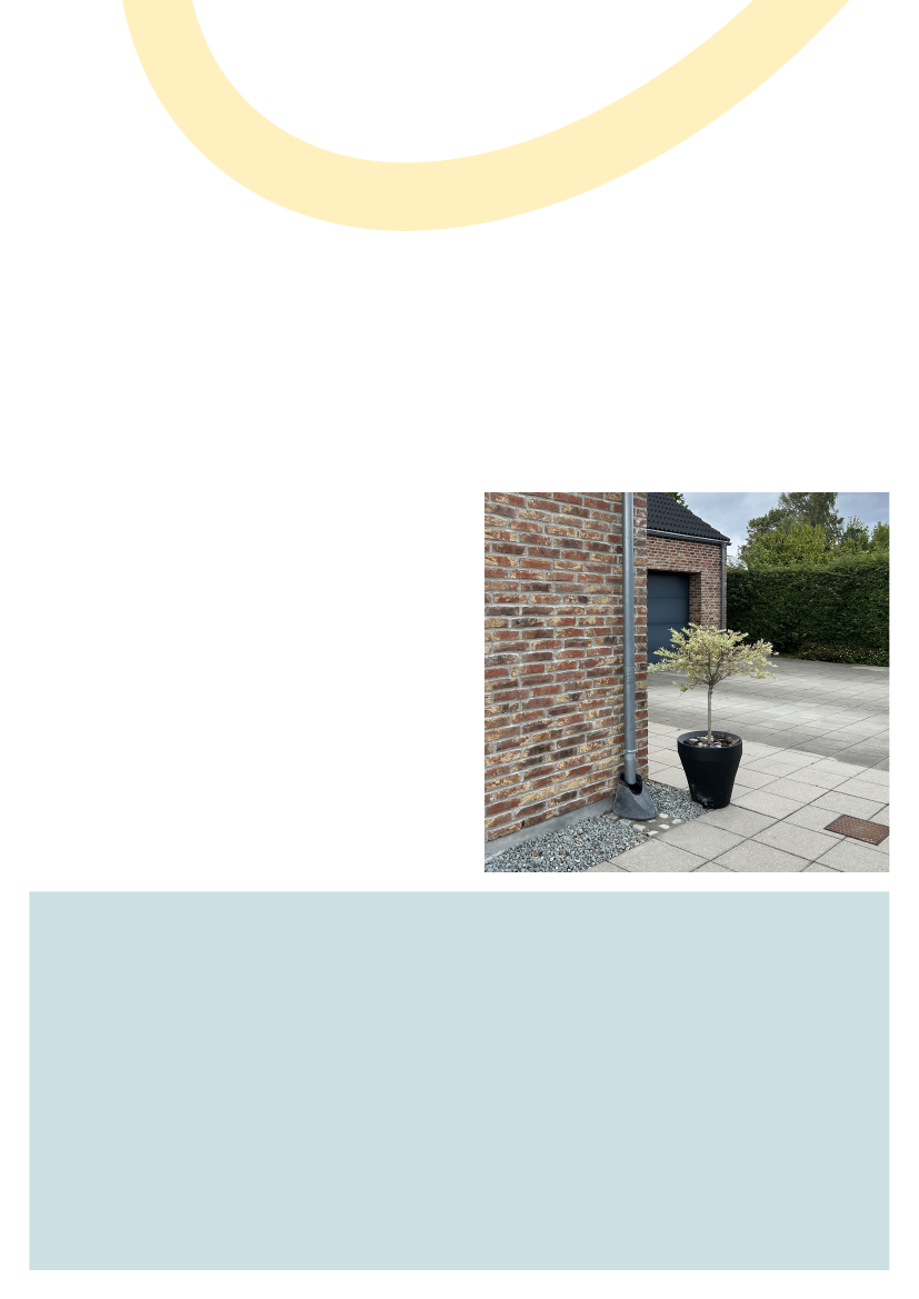2895124_0002.png