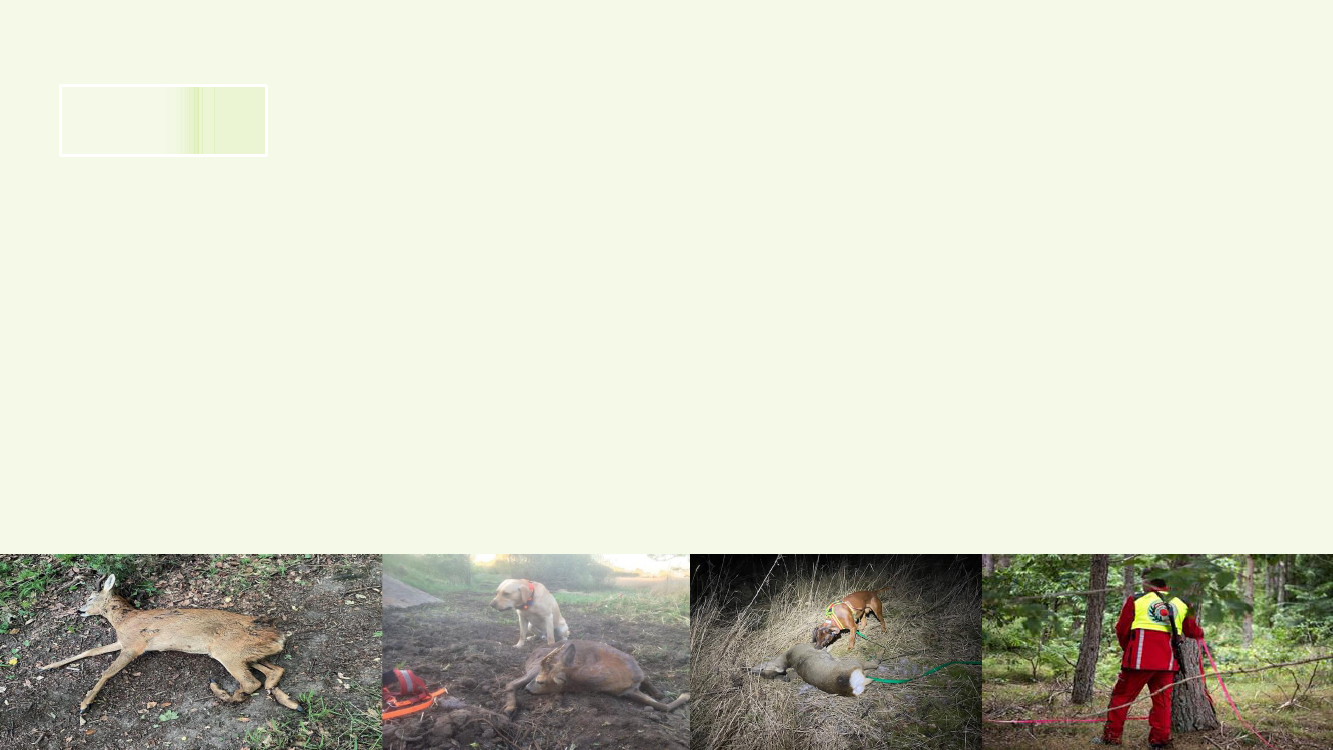 2914623_0002.png